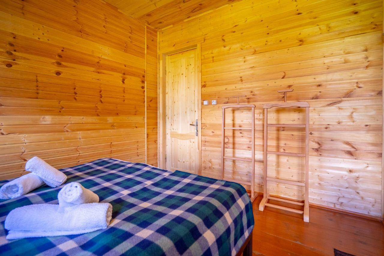 Badishi Guesthouse 梅斯蒂亚 外观 照片
